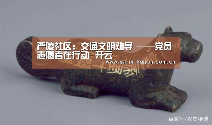 严陵社区:交通文明劝导 ——党员志愿者在行动-开云(图1) 赛事数据